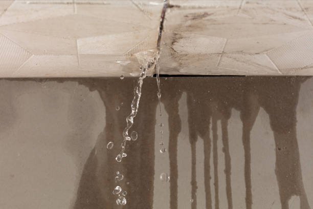 Professional Burst Pipe Cleanup technician working in Woodstock, IL